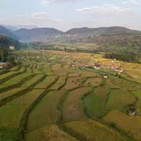 کلبه سوئیسی دوخوابه جکوزی دار درلفور سوادکوه|اجارهٔ کوتاه‌مدت ویلا و باغ|آلاشت, |دیوار