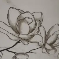 کار در ترکیه