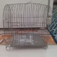 قفس پرنده