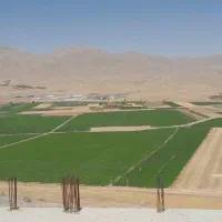 فروش زمین باغی دو کله برجاده فتح اباد