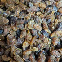 مویز