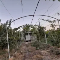 باغ ۳۶۰۰متر غفاربهی نزدیک مارکت(نصف قیمت منطقه )