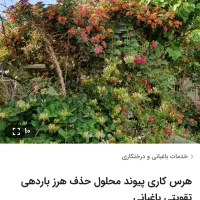 باغبانی محلول حذف هرز پیوند تقویتی ضد افت|خدمات باغبانی و درختکاری|زابل, |دیوار