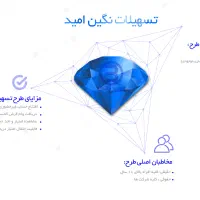 وام اینترنتی نگین امید سپه