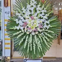 پایه گل|گل و گیاه طبیعی|مشهد, امیر|دیوار