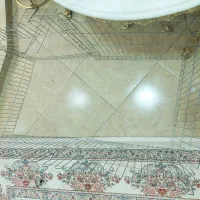 پارک سگ|لوازم جانبی حیوانات|تویسرکان, |دیوار