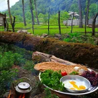 تور شاد و مفرح