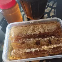 عسل با موم ، از دل کوهستان به سفره های پر مهر شما|خوردنی و آشامیدنی|شیراز, شهرک ولیعصر|دیوار