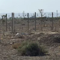 زمین کشاورزی