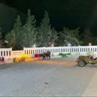 مجتمع اقامتی کاج اجازه سوئیت