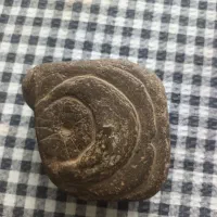 سنگ قدیمی طرح دار