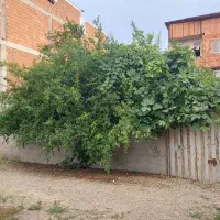 فروش-زمین-244-متری-مسکونی-در-ابتدای-ذغالچال