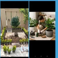 خدمات باغبانی باغچه کاری هرس کاری تعویض خاک گلدون