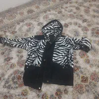 پالتو|لباس|جوانرود, |دیوار