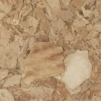 نان خشک