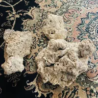 آکواریوم ۶ میل و متعلقات|ماهی|خوی, |دیوار