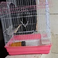 قفس پرنده|لوازم جانبی حیوانات|محمدشهر, ولدآباد|دیوار