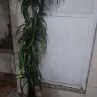 گل مصنوعی