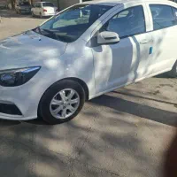 شاهین ساندرو دار