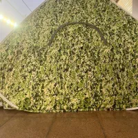 چادر مسافرتی ۱۲ نفره مدل چریکی صادراتی|کوهنوردی و کمپینگ|نجف‌آباد, حومه نجف آباد|دیوار