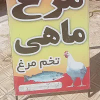 تابلو مرغ فروشی