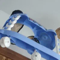 روروئک سالم