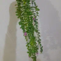 آویز گل