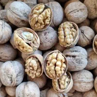 گردو، بادام ، عسل و انواع خشکبار