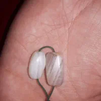 جفت نرماده اصل سلیمانی باستانی