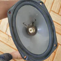 پایونیر (کاریزویا)
