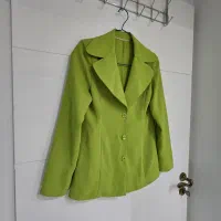 کت سبز|لباس|اصفهان, باغ دریاچه|دیوار