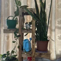 استند وگلدانها وابپاش