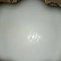 ظرف|ظروف سرو و پذیرایی|محمدشهر, سیدآباد|دیوار