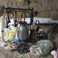 شیر دوش گاو