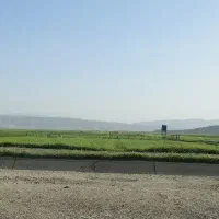 فروش قطعه زمین کشاورزی|فروش زمین و ملک کلنگی|مرودشت, مجد آباد|دیوار