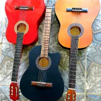 گیتار   حرفه ای   با   تخفیف ویژه