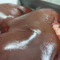 جگر گوسفندی|خوردنی و آشامیدنی|تهران, بهداشت|دیوار