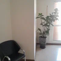 استخدام نیروی خانم