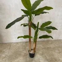 درخت موز 3تنه و 4 تنه|گل مصنوعی|تهران, جنت‌آباد مرکزی|دیوار