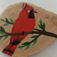 ماگ