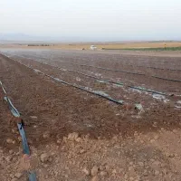 نیروی جهت ابیاری و کشاورزی|استخدام صنعتی، فنی، مهندسی|مشهد, فردوسی|دیوار