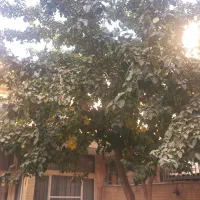 فروش خانه دو طبقه و دو کله متراژ ۲۶۰