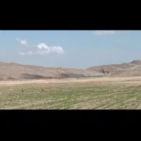 شش هکتارونیم زمین کشاورزی حاشیه رودخانه سدفریمان