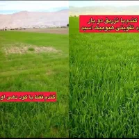 کودهای ارگانیک مادر|گل و گیاه طبیعی|سنندج, |دیوار