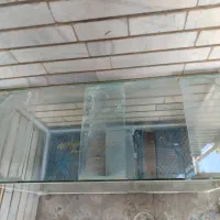 آکواریوم|ماهی|ایذه, |دیوار