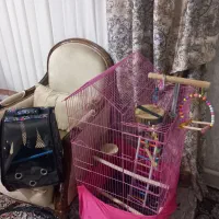 قفس عروس هلندی به همراه کیف و لوازم اضافه