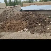 کودحیوانی
