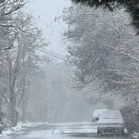 زمین-ملکی-فروشی-در-بلوار-جمهوری-حاشیه-شبنم