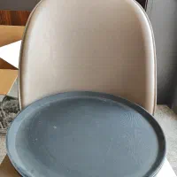 سینی ضد سر
