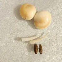 کتاب ضمانتی صددرصد|کتاب و مجله مذهبی|مود, |دیوار